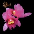 Orchid (Re-Release)