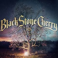 BLACK STONE CHERRY zeigen Einblicke ins neue Album